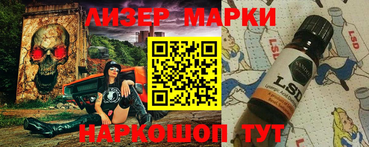 Псилоцибиновые грибы Вышний Волочёк