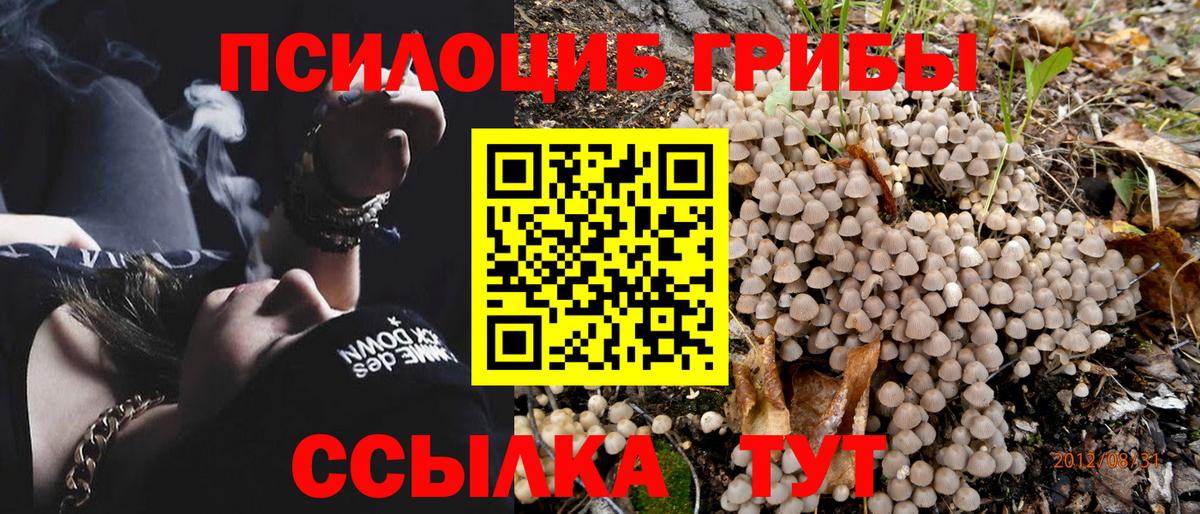 Галлюциногенные грибы Cubensis  Вход с VPN  Вышний Волочёк  Галлюциногенные грибы мухоморы 