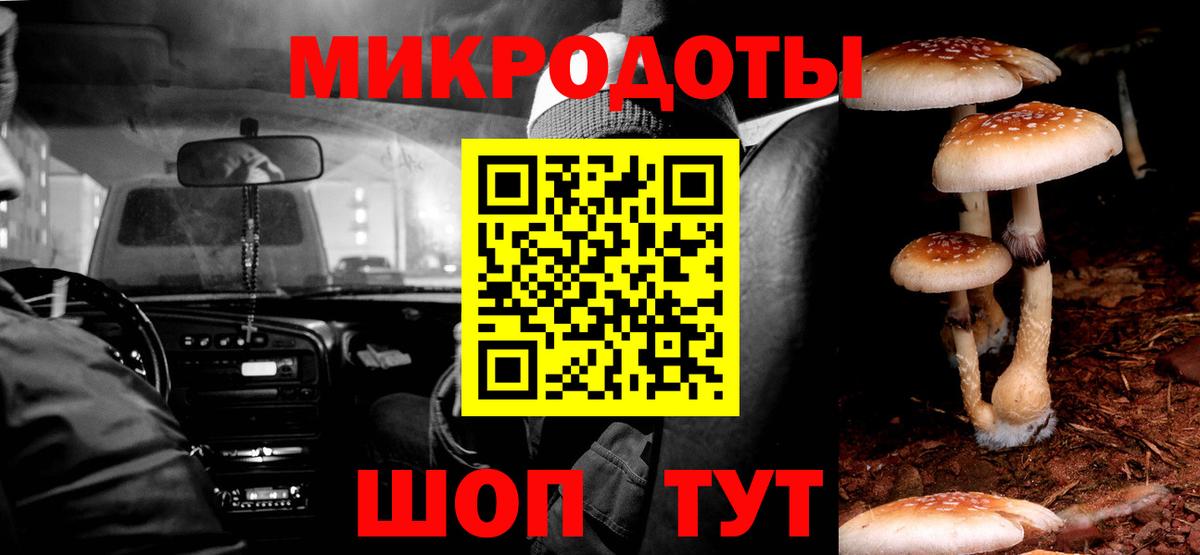 Галлюциногенные грибы мухоморы  Вышний Волочёк 