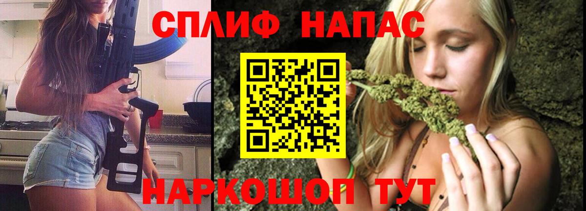 Конопля гибрид Вышний Волочёк